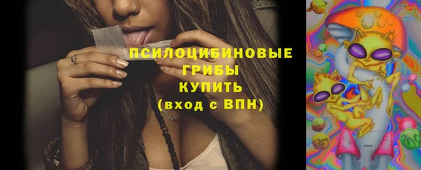 прущие грибы Карпинск
