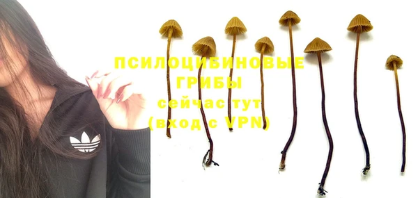 каннабис Касимов