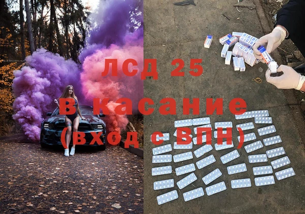 прущие грибы Карпинск