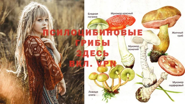 каннабис Касимов