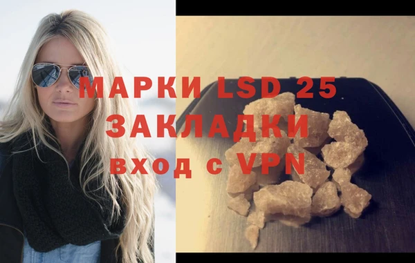 прущие грибы Карпинск