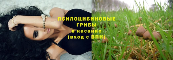 прущие грибы Карпинск