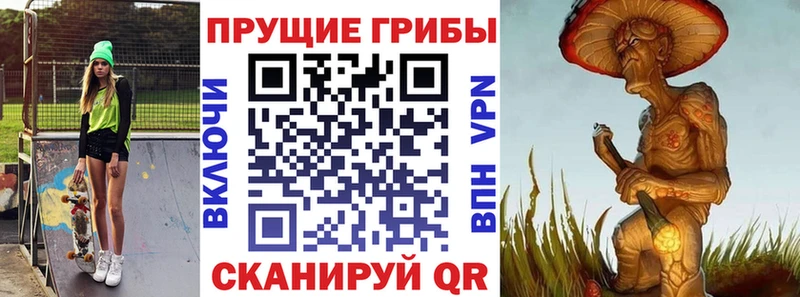 Псилоцибиновые грибы Psilocybe  Купить где  Инта 